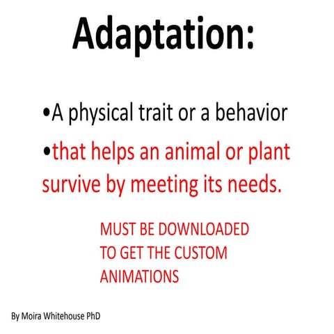 Animal adaptions.. introduction  (teach)