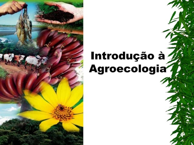 Introducao agroecologia