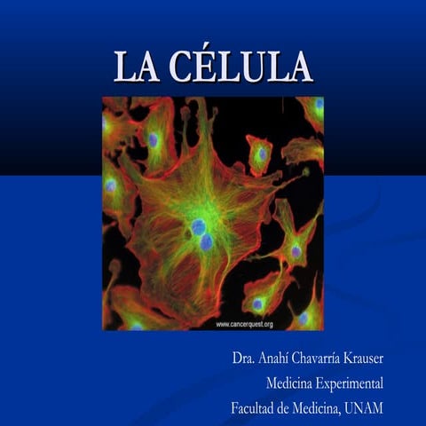 Introducción a la célula y membrana plasmática