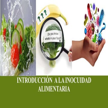 INOCUIDAD DE LOS ALIMENTOS.ppt