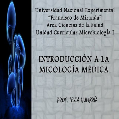 Introducción a la micología médica