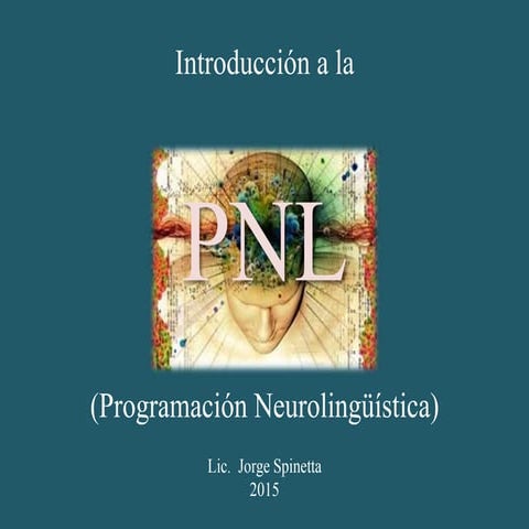Breve Reseña de Curso de Programación Neuro Linguistica PNL