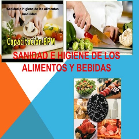 Introducción a la Sanidad e Higiene de los Alimentos I.pdf