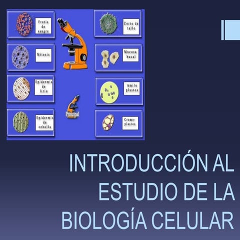 Introducción al estudio de la biología celular