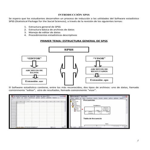 Como hacer una base de datos en spss | PPTX