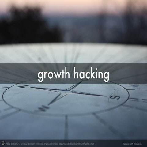 Introducción al Growth Hacking