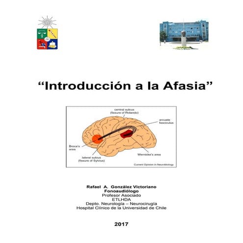 Introduccion a la afasia 2017