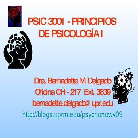 Introduccionala Psicologiaverano2009wgraphics