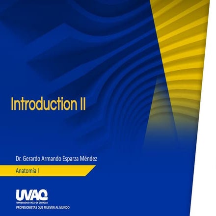 INTRODUCCIÓN A LA ANTOMICA/ ESCUELA DE MEDICINA