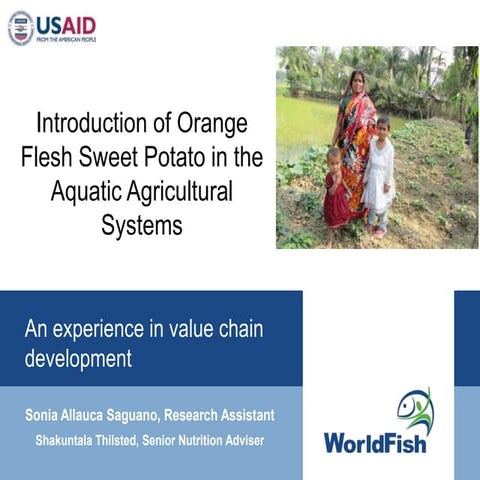 Introduction of orange flesh sweet potato in aquatic agricultural systems val...