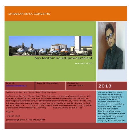 HOW TO INTRODUCE COMPANY PROFILE visual data 8