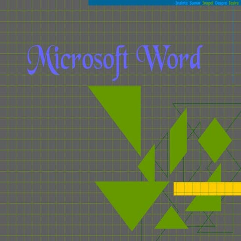 Introducere in microsoft_word