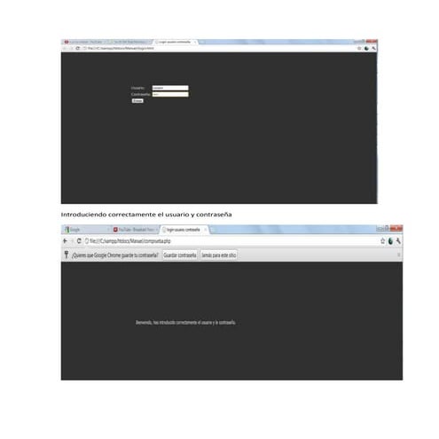 Introduciendo correctamente el usuario y contraseña