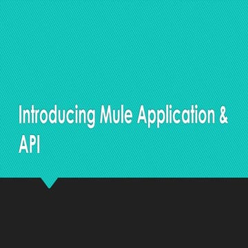 Introduction to mule application