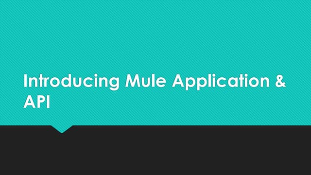 Introducing Mule Application and API