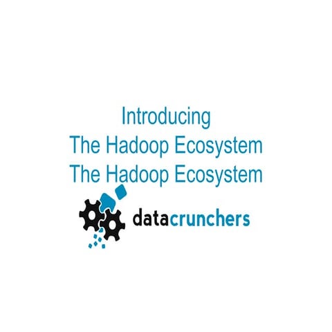 Introducing the hadoop ecosystem
