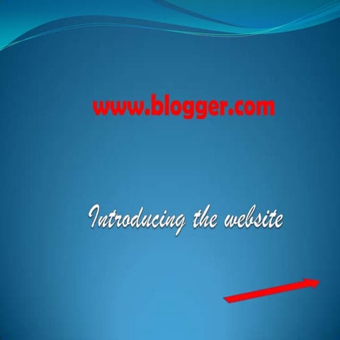 Introducing the website