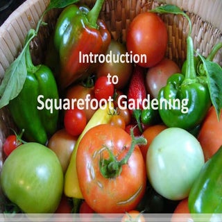 Introduction to Squarefood Gardening