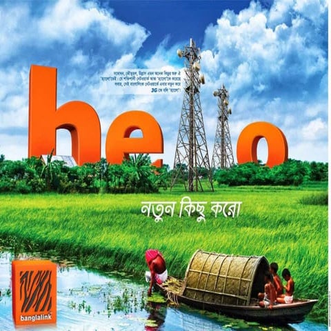 Survey report on Banglalink