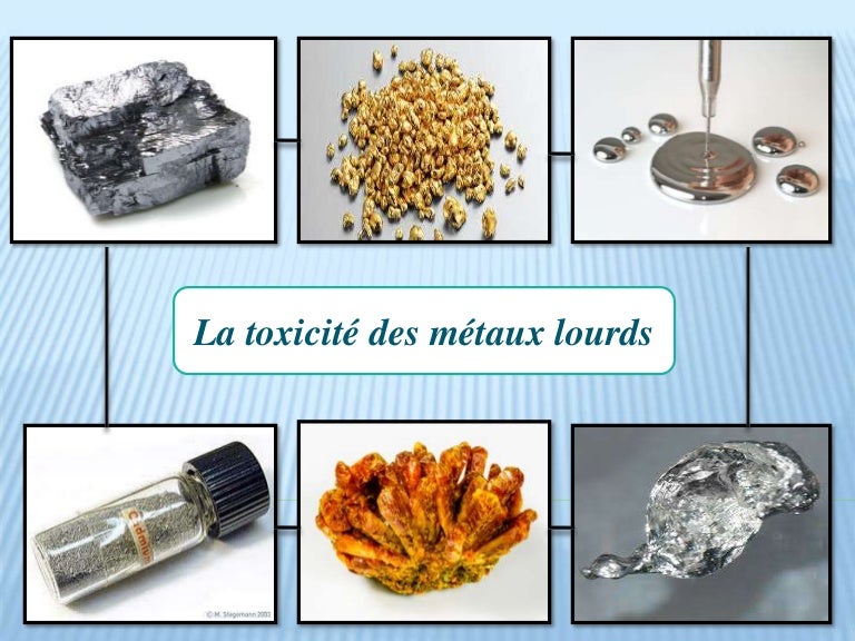 Métaux Lourds Dans L Eau Du Robinet La toxicité des métaux lourds