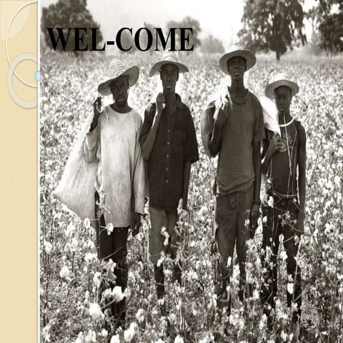  Presentation on diseases of cotton plants 