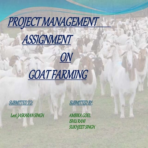 Goat farming 