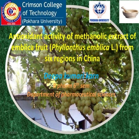 Antioxidant activity of methanolic extract of emblica fruit (Phyllanthus embl...