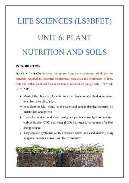 Nutrient Movement in Soils- Nutrient Absorption By Plants Mechanistic ...