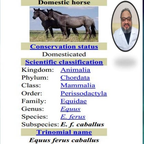 introduction  horse  health  course .pdf