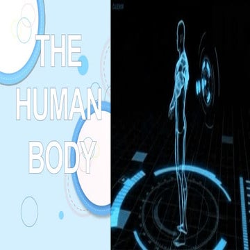 INTRODUCTION-TO-ANATOMY INTRODUCTION TO ANATOMY