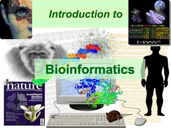 EXPOSERS AND HISTORY OF BIO INFORMATICS | PDF