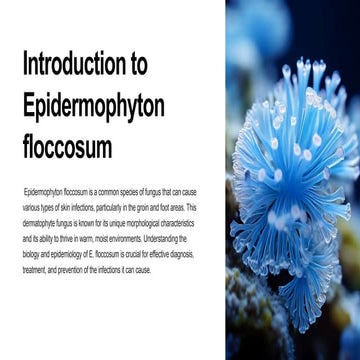 Introduction-to-Epidermophyton-floccosum.pptx