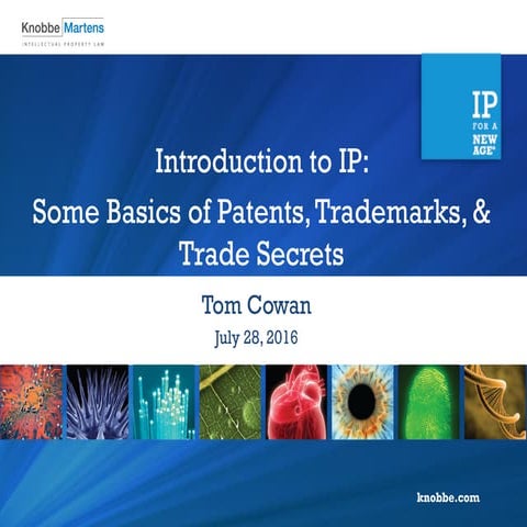 Introduction to IP: Basics of Patents, Trademarks, & Trade Secrets