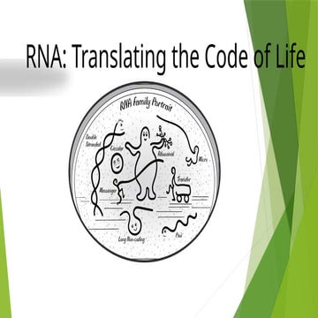 RNA introduction elementray.pptx