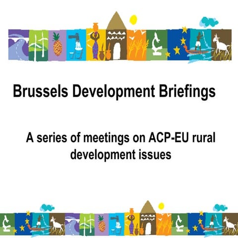 Introduction to the Brussels Development Briefings