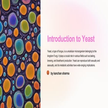 Introduction to Yeast ppt.pptx structure of yeast