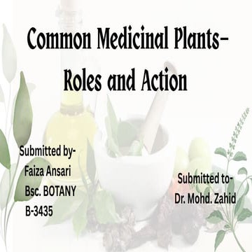 Medicinal Plants: Uses, Benefits and Mechanisms of Action