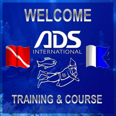Introduction ADS_ BPSPL. an nsfdoggnsdf d | PPT