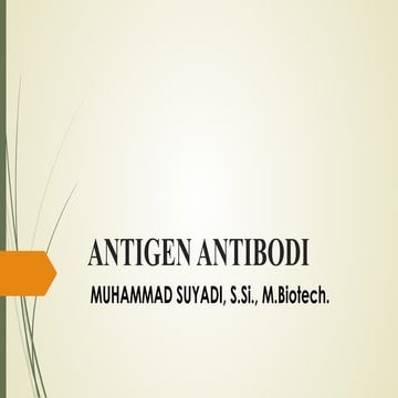 INTRODUCTION ANTIGEN ANTIBODI Pada Manusia.pdf