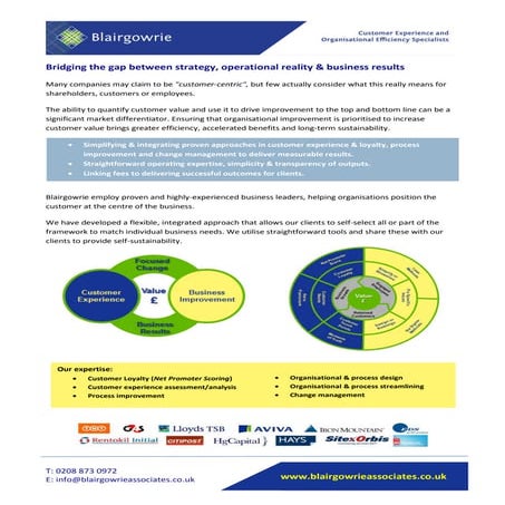 Introduction to Blairgowrie Associates