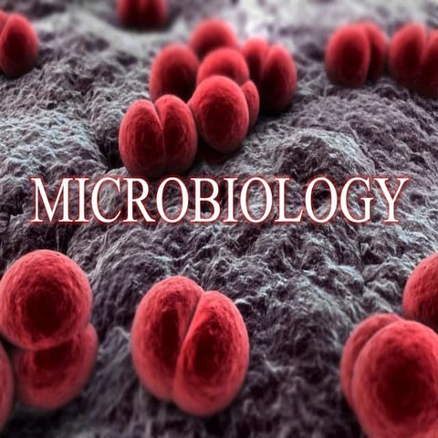 Microbiology 