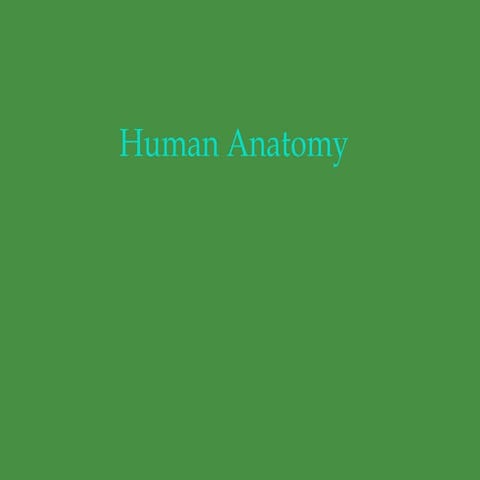 Introduction Human Anatomy