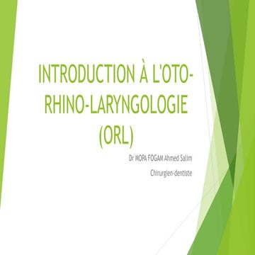 Anatomie et Physiologie Complètes de l'ORL : Nez, Oreille, Gorge | PPTX