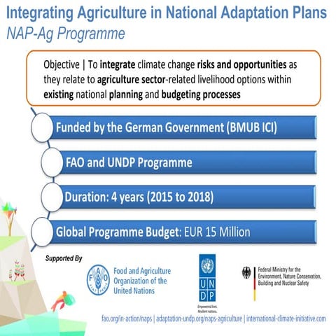 NAP-AG Webinar - Effective individual and institutional capacity development ...