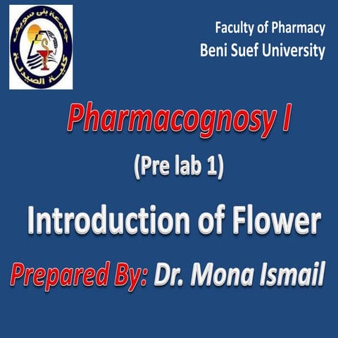 Introduction of flower 