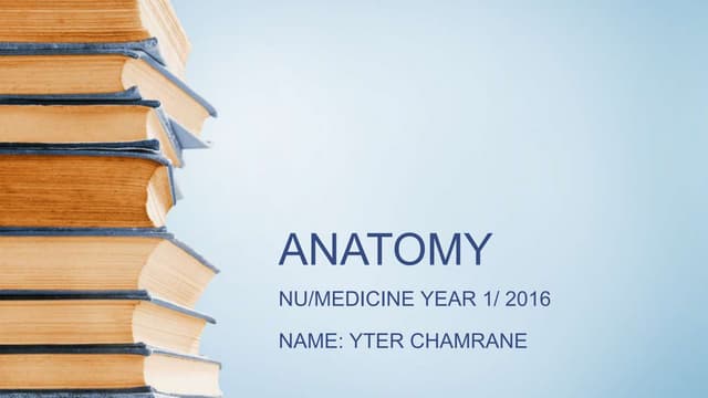 Introduction of human body