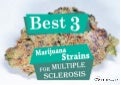 Best 3 Marijuana Strains for Multiple Sclerosis 