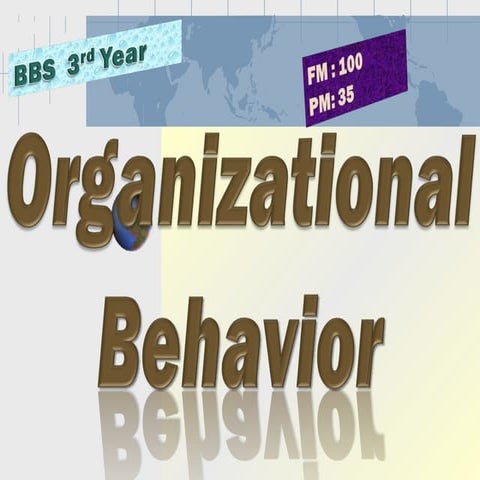 Introduction to Organizational Behavior