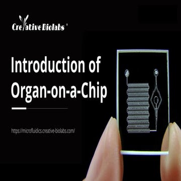 Introduction of Organ-On-A-Chip - Creative Biolabs