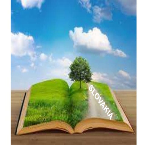 Introduction Of Slovak Team Pptx